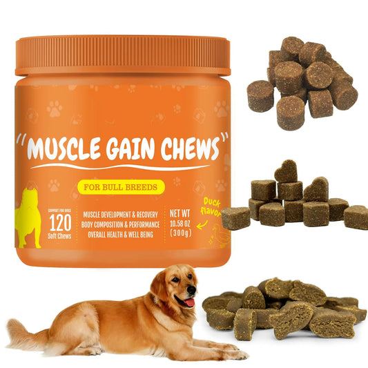 Dog Hip and Joint Supplement - Pain and Inflammation Relief Chews with Glucosamine, Chondroitin, MSM Treats Hip Arthritis